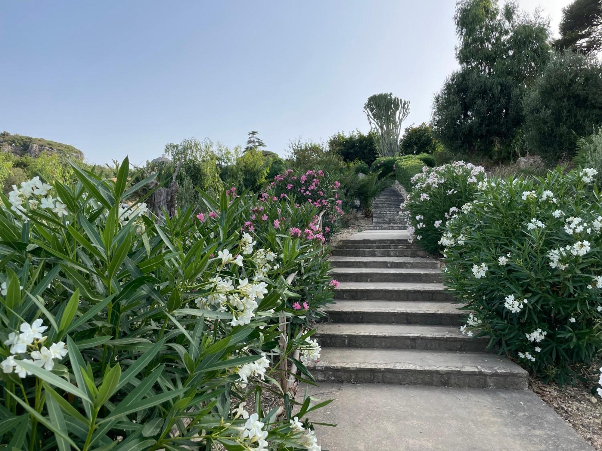 Villa Hibiscus Scopello Scopello  Exterior foto