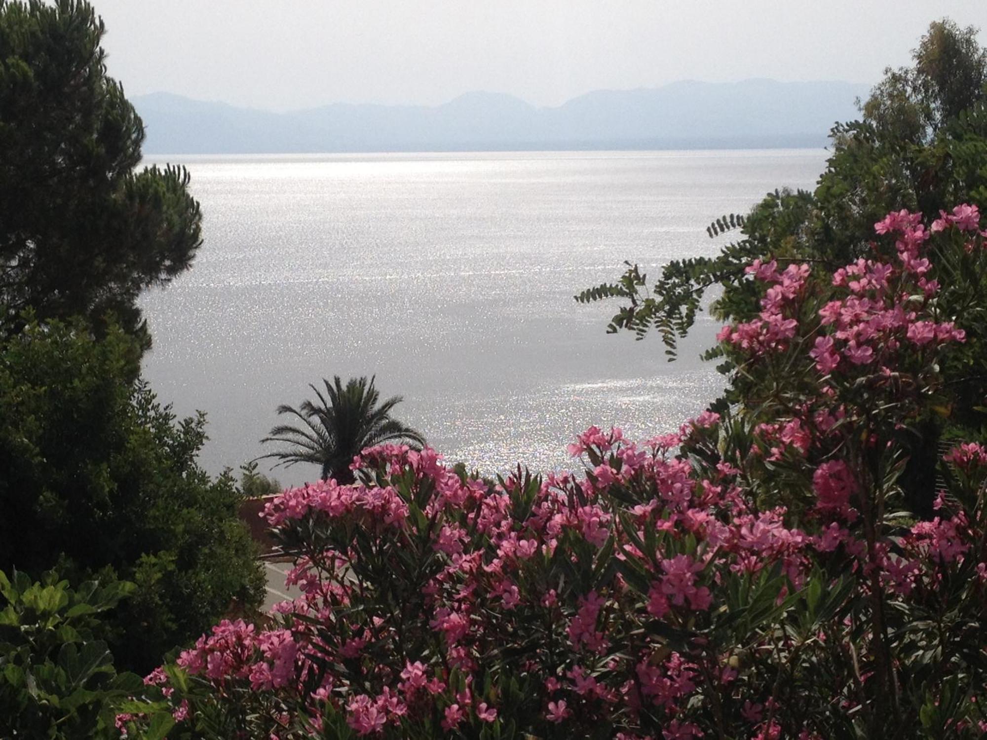 Villa Hibiscus Scopello Scopello  Exterior foto